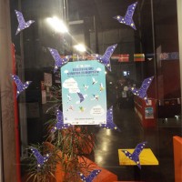 Festival_2016_deco_5