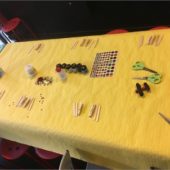 IMG_8970_04