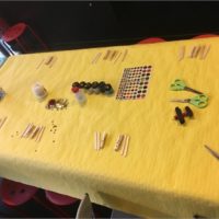 IMG_8970_04